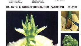 Что используют растения в процессе жизнедеятельности в Норд