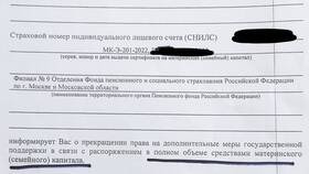 Что значит оформление субсидии в Блэк Раша
