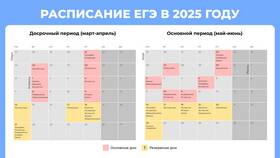 Досрочно ЕГЭ 2025: как успешно сдать в Норд