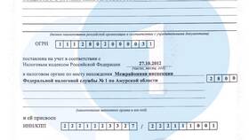 Как будет ИНН на английском языке