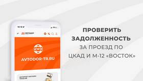 Как погасить долг за проезд в Норд