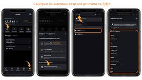 Как внести деньги на депозит Bybit в Норд