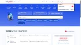 Почему на Госуслугах не отображаются пособия в Норд