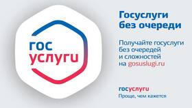 Почему не работает портал Госуслуг сегодня? в Норд