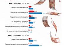 Почему падают акции Русагро: анализ причин в Норд