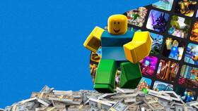 Почему Roblox не считывает паспорт? в Норд