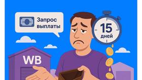 Причины задержки поступления денег на Wildberries в Норд