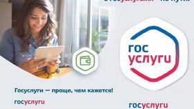 Регистрация новорожденного через портал Госуслуги в Норд