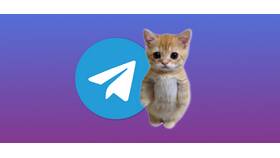 Стикеры Telegram с котом 