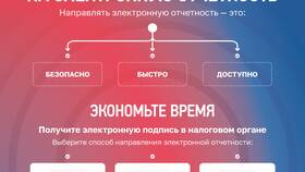В чем заключается контрольная функция налогов в Норд