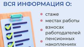 Выписка СФР: что это в Норд